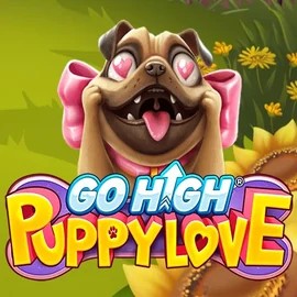 Play the Go High Puppy Love slot by RubyPlay on Spinsy Casino